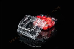 200G GLD-200G PET clamshell container