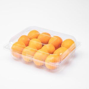 Supplier of disposable fruit – packaging boxes for 2500g fruit containers