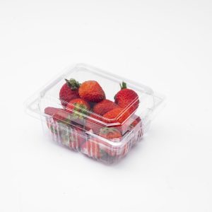 Wholesaler of disposable food-grade fruit packaging boxes for 250g strawberry containers