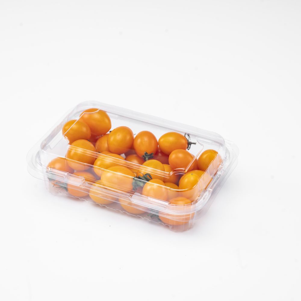 Fruit Packaging Manufacturer of 300g Fruit Containers with Food-Grade Materials