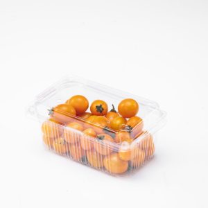 400g Fruit Container with Transparent Flip Lid Longan Packaging Box