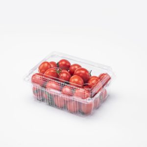 500g Disposable Fruit Packaging Box Fruit Flip-top Packaging Container