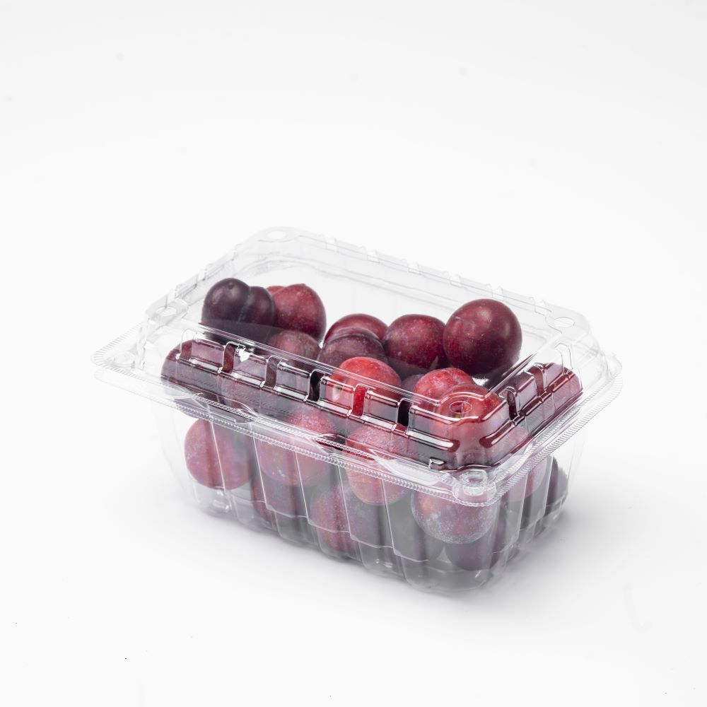 Manufacturer of disposable fruit packaging boxes for 500g grape containers