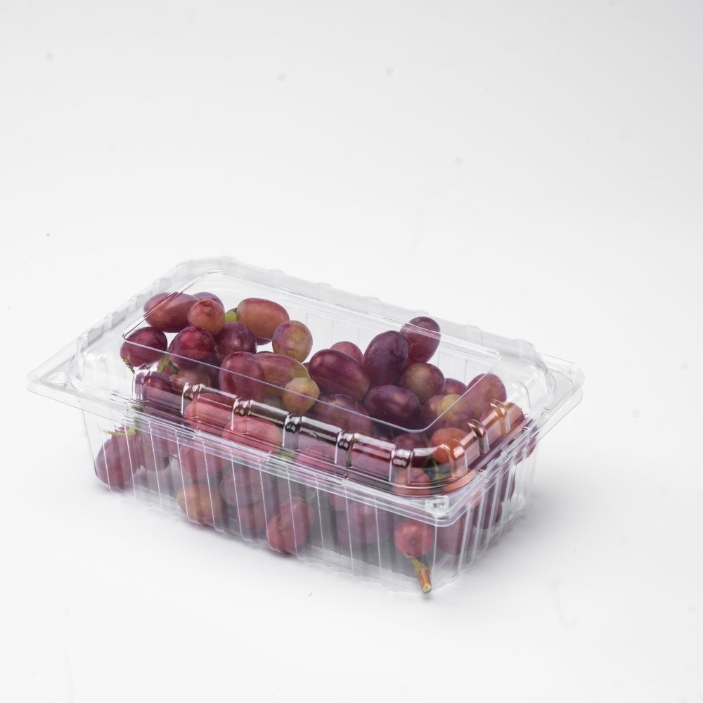 Grape Container Disposable Fruit Box with Transparent Flip Lid