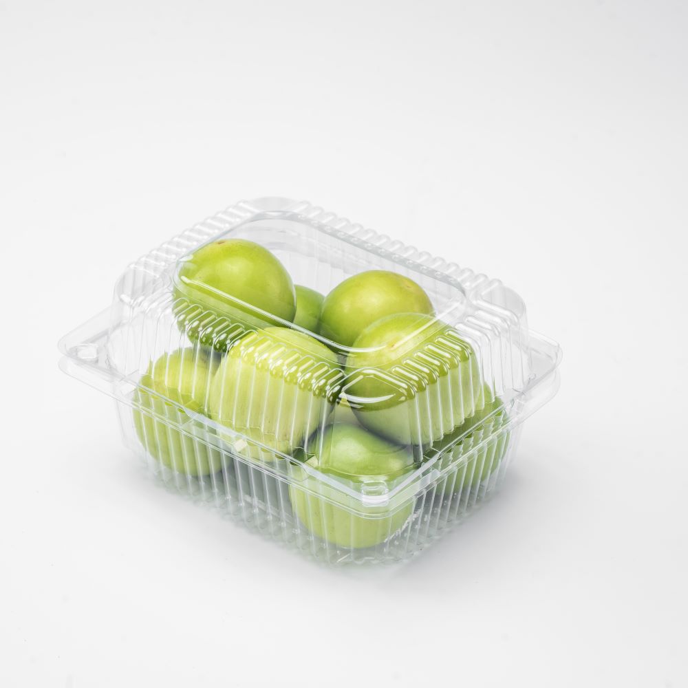 Disposable PET Flip-top Fruit Containers