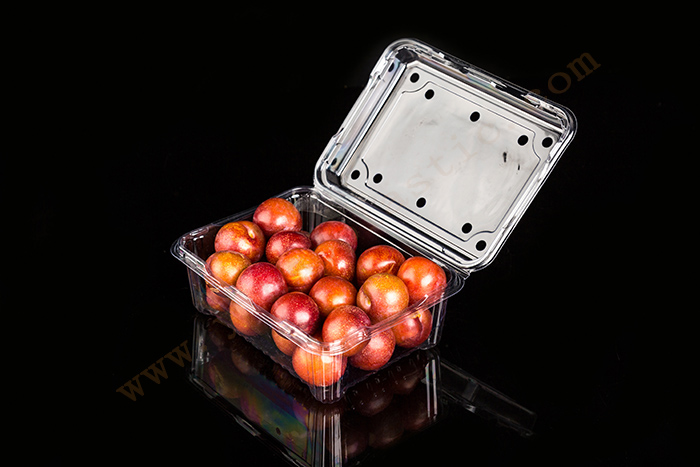 500g GLD-500M OEM customized Frozen Lock Fresh fruit Packaging/Disposable Fruit Clamshell