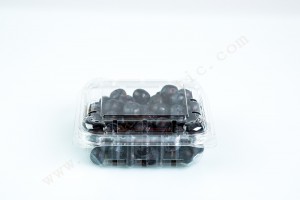 125G GLD-125G PET clamshell  container