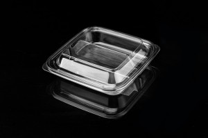 Trending Products Butterfly Fruit Tray – 400g transparent square 2-compartment fruit cut salad Platter E02 – Yihao