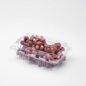 Manufacturer of disposable fruit packaging boxes for grape containers