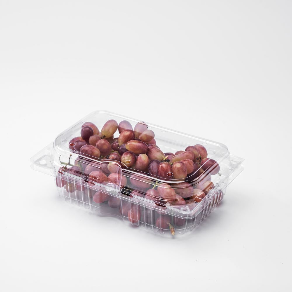 Manufacturer of disposable fruit packaging boxes for grape containers