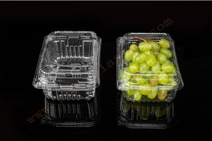 Strawberry Clamshell Containers Factories – 750G GLD-750G PET clamshell container – Yihao