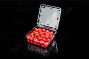 850G GLD-850G PET clamshell container