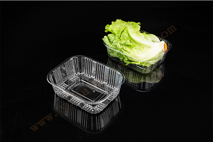 Factory Price Clear Plastic Boxed Sandwich With Fruit – 1000G GLD-2016B Trays with overwrap/Map trays/Plastic produce trays – Yihao