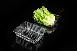 500G GLD-2116 Thermoform trays suppliers/Thermoformed plastic trays