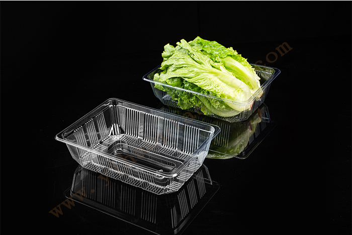 Fruit Packing Tray Factory Factories – 2000G GLD-2217H5 Thermoform blister packaging/Stock thermoformed trays – Yihao