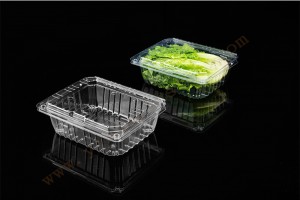 1000G GLD-1000A clear hinged take out containers/Pet Disposable Food Container