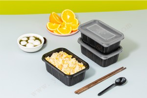 GLD-M183 togo boxes|togo food containers