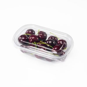 GLD-700ML1 Fruit cutting packaging boxes and fruit containers, factory direct sales