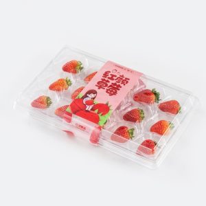 Manufacturer’s direct sales of strawberry containers with a package of 15 pieces