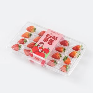 Manufacturer’s direct sales of strawberry containers with a package of 20 pieces