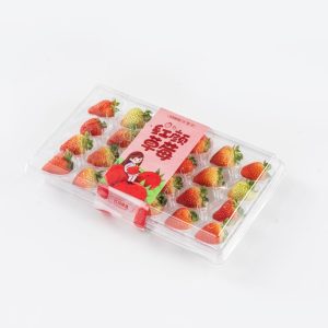 Manufacturer’s direct sales of strawberry containers with a package of 24 pieces