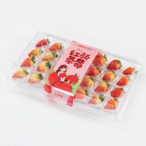 Manufacturer’s direct sales of strawberry containers with a package of 28 pieces