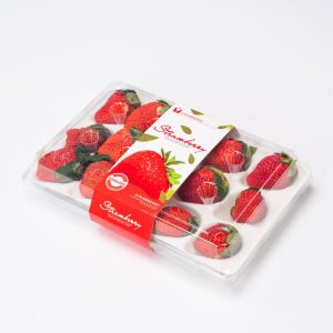 GLD-CM-15 Manufacturer’s direct sales of strawberry containers with a package of 15 pieces