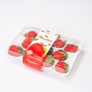 GLD-CM-11 Manufacturer’s direct sales of strawberry containers with a package of 11 pieces