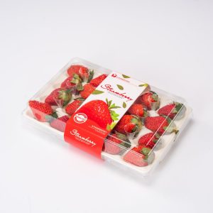 GLD-CM-20 Manufacturer’s direct sales of strawberry containers with a package of 20 pieces