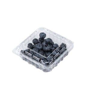 Wholesale of 125g Blueberry Container Fruit Packaging Boxes by Manufacturers