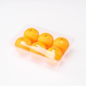 GLD-2517H7 Wholesale of disposable plastic packaging for fruit trays and vegetable containers