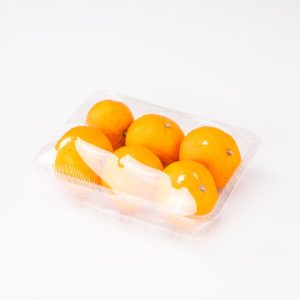 GLD-2217H5 Wholesale of disposable plastic packaging for fruit trays and vegetable containers