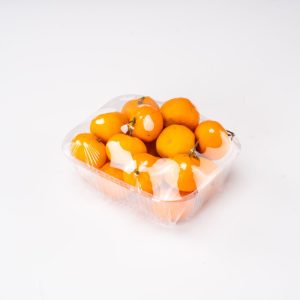 GLD-2016B Wholesale of disposable plastic packaging for fruit trays and vegetable containers