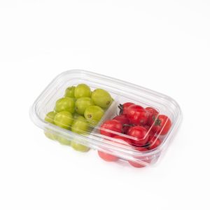 GLD-135B2 Multi-compartment fruit cutting packaging boxes and fruit containers, factory wholesale