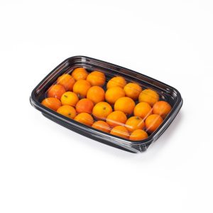 GLD-165B1 Fruit cutting packaging boxes and fruit containers, factory direct sales