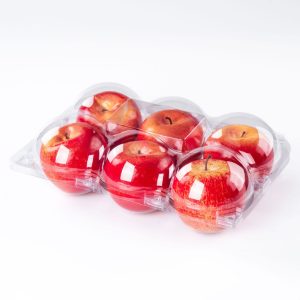 6 packaging apple containers food grade material fruit packaging wholesale