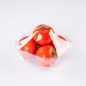 Fruit tray vegetable container wholesale