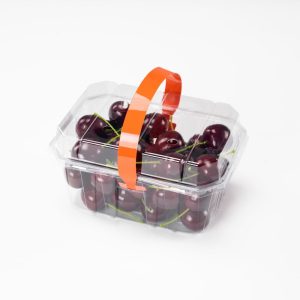 GLD-101T Manufacturers’ direct sales of disposable food-grade fruit packaging boxes, portable fruit containers