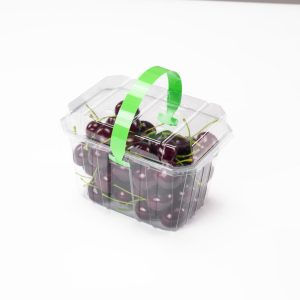 GLD-102T Manufacturers’ direct sales of disposable food-grade fruit packaging boxes, portable fruit containers