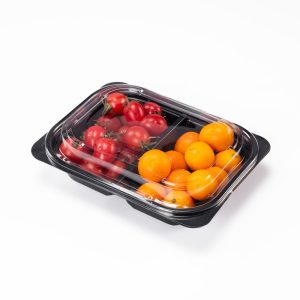 GLD-114B2 Multi-compartment fruit cutting packaging boxes and fruit containers, factory wholesale