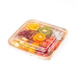 GLD-09 Multi-compartment fruit cutting packaging boxes and fruit containers, factory wholesale