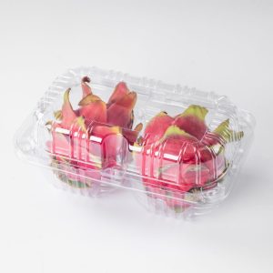 Manufacturers of Professional Fruit – Packaging Boxes for Dragon Fruit Containers