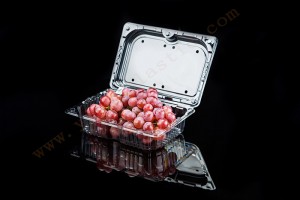 1500g GLD-A8 OEM customized Frozen Lock Fresh fruit Packaging/Fruit Packaging Container